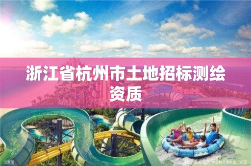 浙江省杭州市土地招標測繪資質