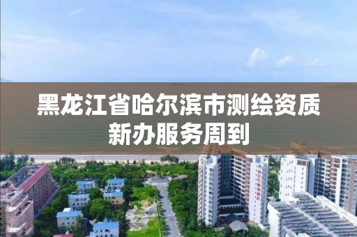 黑龍江省哈爾濱市測繪資質新辦服務周到