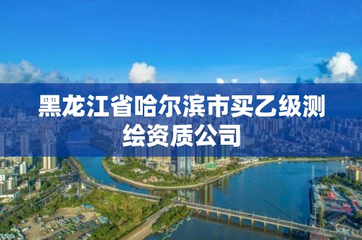 黑龍江省哈爾濱市買乙級測繪資質公司