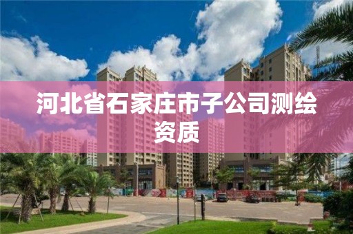 河北省石家莊市子公司測繪資質