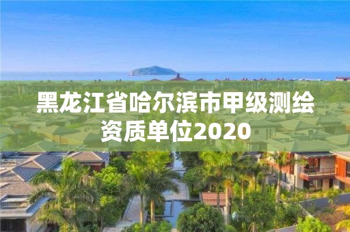 黑龍江省哈爾濱市甲級(jí)測(cè)繪資質(zhì)單位2020