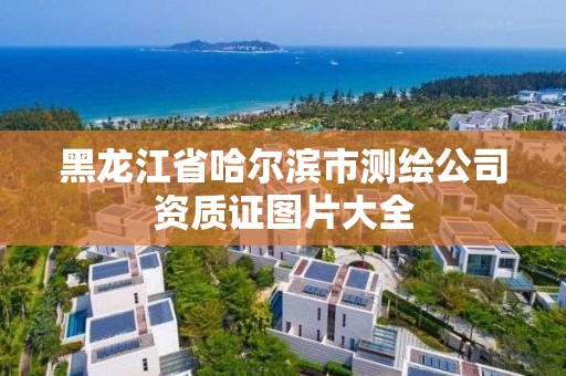 黑龍江省哈爾濱市測繪公司資質證圖片大全