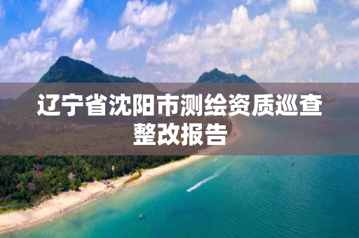 遼寧省沈陽市測繪資質巡查整改報告