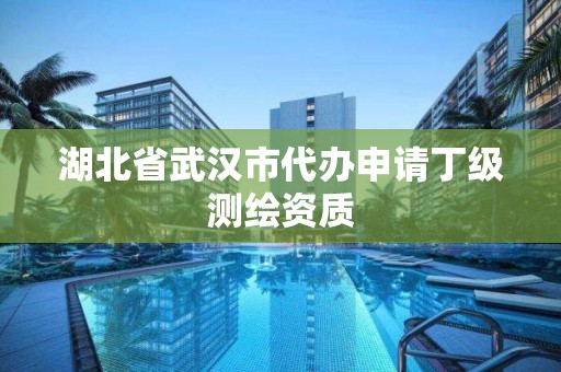 湖北省武漢市代辦申請丁級測繪資質