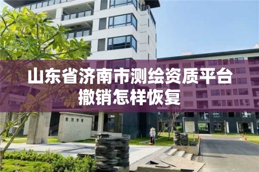 山東省濟南市測繪資質平臺撤銷怎樣恢復