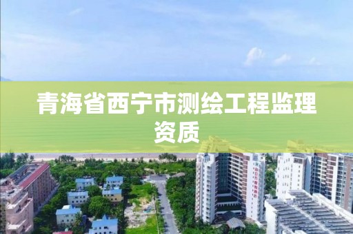 青海省西寧市測繪工程監理資質