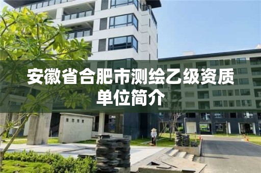 安徽省合肥市測繪乙級資質單位簡介