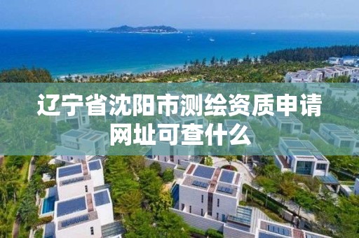 遼寧省沈陽市測繪資質申請網址可查什么