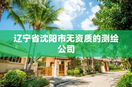 遼寧省沈陽市無資質的測繪公司