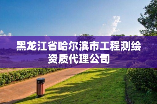 黑龍江省哈爾濱市工程測繪資質代理公司