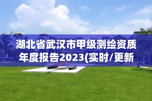 湖北省武漢市甲級測繪資質年度報告2023(實時/更新中)