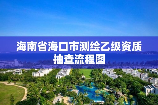 海南省海口市測繪乙級資質抽查流程圖