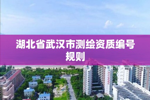 湖北省武漢市測繪資質編號規則