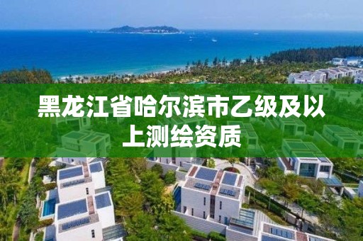 黑龍江省哈爾濱市乙級(jí)及以上測(cè)繪資質(zhì)