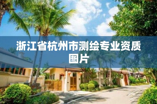 浙江省杭州市測繪專業資質圖片