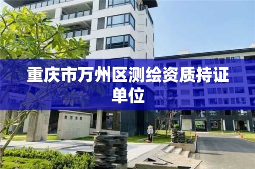 重慶市萬州區測繪資質持證單位