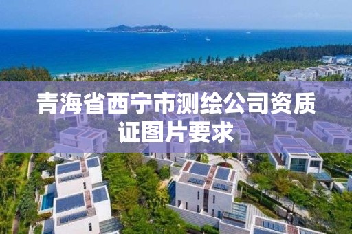 青海省西寧市測繪公司資質證圖片要求