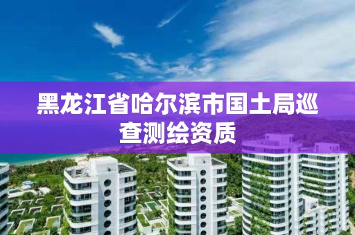 黑龍江省哈爾濱市國土局巡查測繪資質