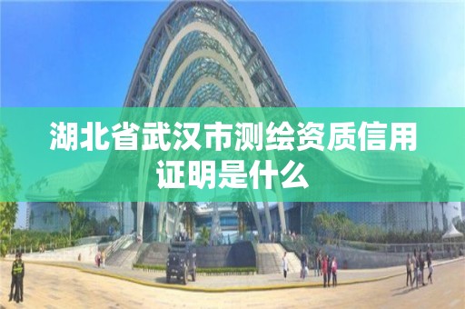 湖北省武漢市測繪資質信用證明是什么