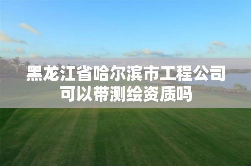 黑龍江省哈爾濱市工程公司可以帶測繪資質嗎