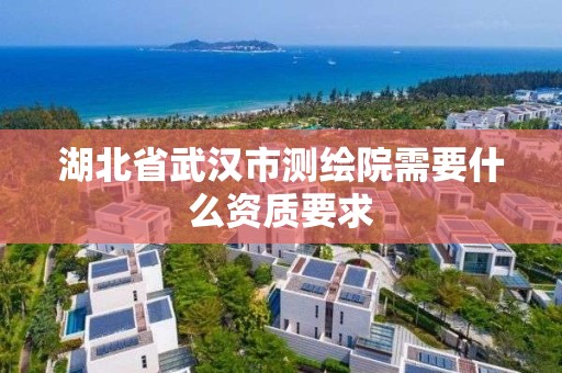 湖北省武漢市測繪院需要什么資質(zhì)要求