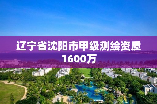 遼寧省沈陽市甲級測繪資質1600萬