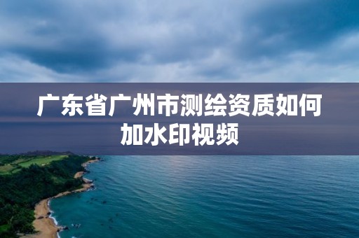 廣東省廣州市測繪資質如何加水印視頻