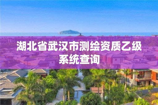 湖北省武漢市測繪資質乙級系統查詢