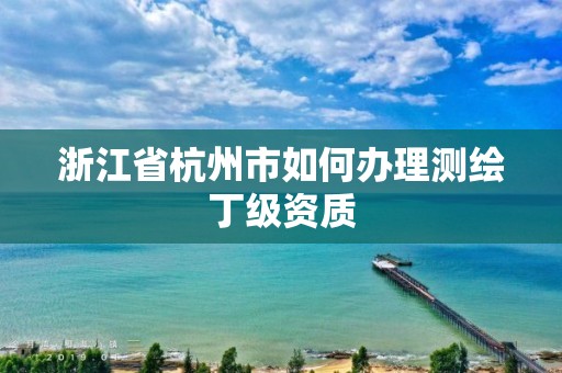 浙江省杭州市如何辦理測繪丁級資質