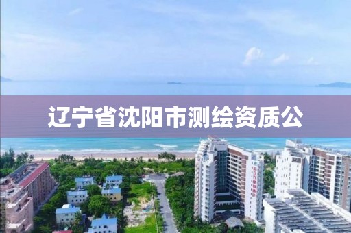 遼寧省沈陽市測繪資質公