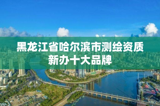 黑龍江省哈爾濱市測繪資質新辦十大品牌