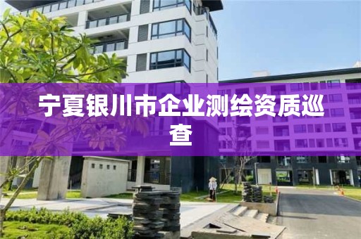 寧夏銀川市企業測繪資質巡查