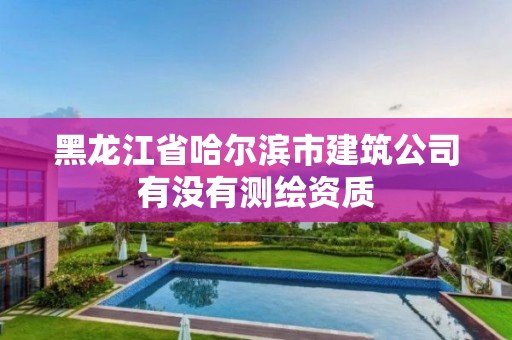 黑龍江省哈爾濱市建筑公司有沒有測繪資質