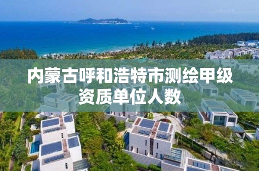 內蒙古呼和浩特市測繪甲級資質單位人數