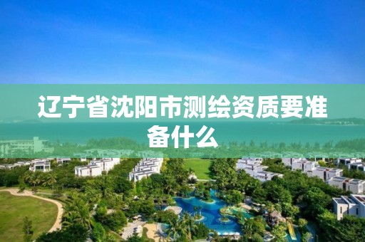 遼寧省沈陽市測繪資質要準備什么