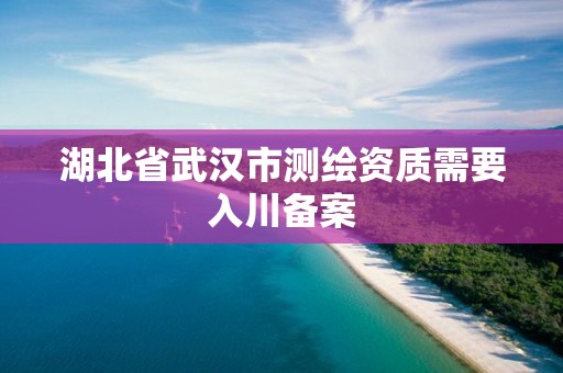 湖北省武漢市測繪資質需要入川備案