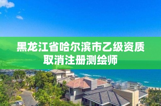 黑龍江省哈爾濱市乙級資質取消注冊測繪師