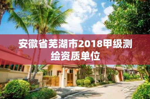 安徽省蕪湖市2018甲級測繪資質單位