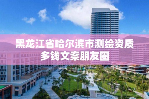 黑龍江省哈爾濱市測繪資質多錢文案朋友圈