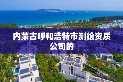 內蒙古呼和浩特市測繪資質公司的