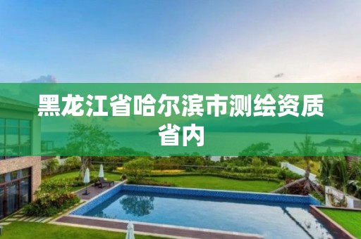 黑龍江省哈爾濱市測繪資質省內