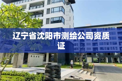 遼寧省沈陽市測繪公司資質證