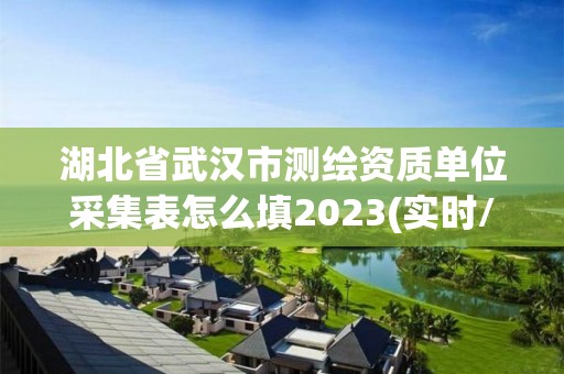 湖北省武漢市測繪資質單位采集表怎么填2023(實時/更新中)