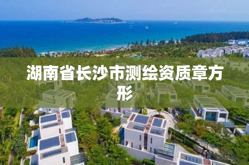 湖南省長沙市測繪資質章方形