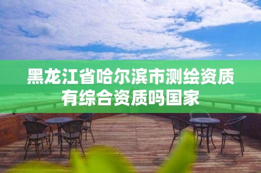 黑龍江省哈爾濱市測繪資質有綜合資質嗎國家