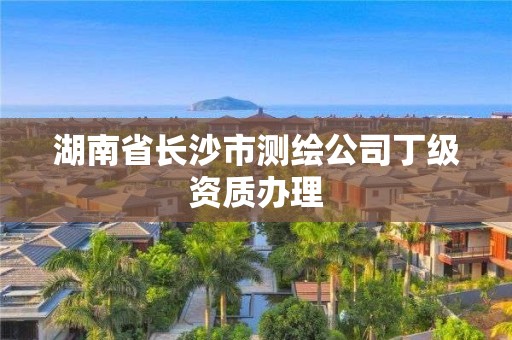 湖南省長沙市測繪公司丁級資質(zhì)辦理