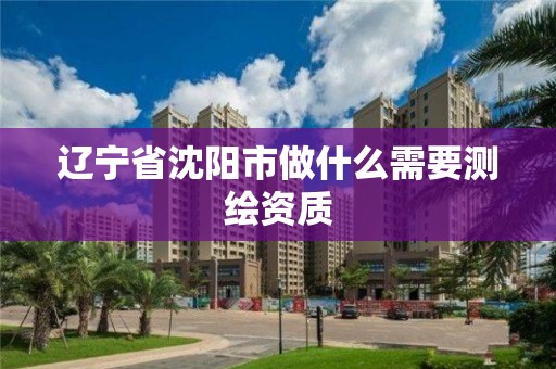 遼寧省沈陽市做什么需要測繪資質