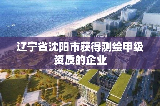 遼寧省沈陽市獲得測繪甲級資質的企業