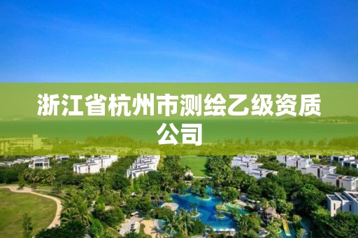 浙江省杭州市測繪乙級資質(zhì)公司