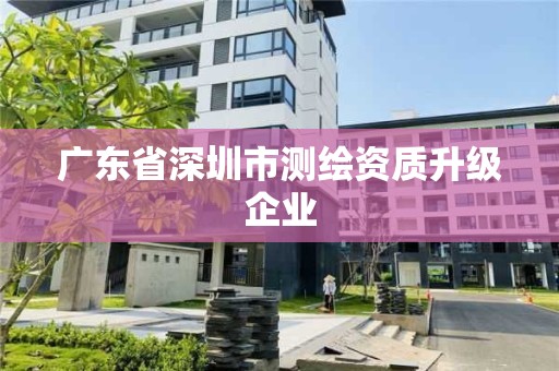 廣東省深圳市測繪資質(zhì)升級企業(yè)